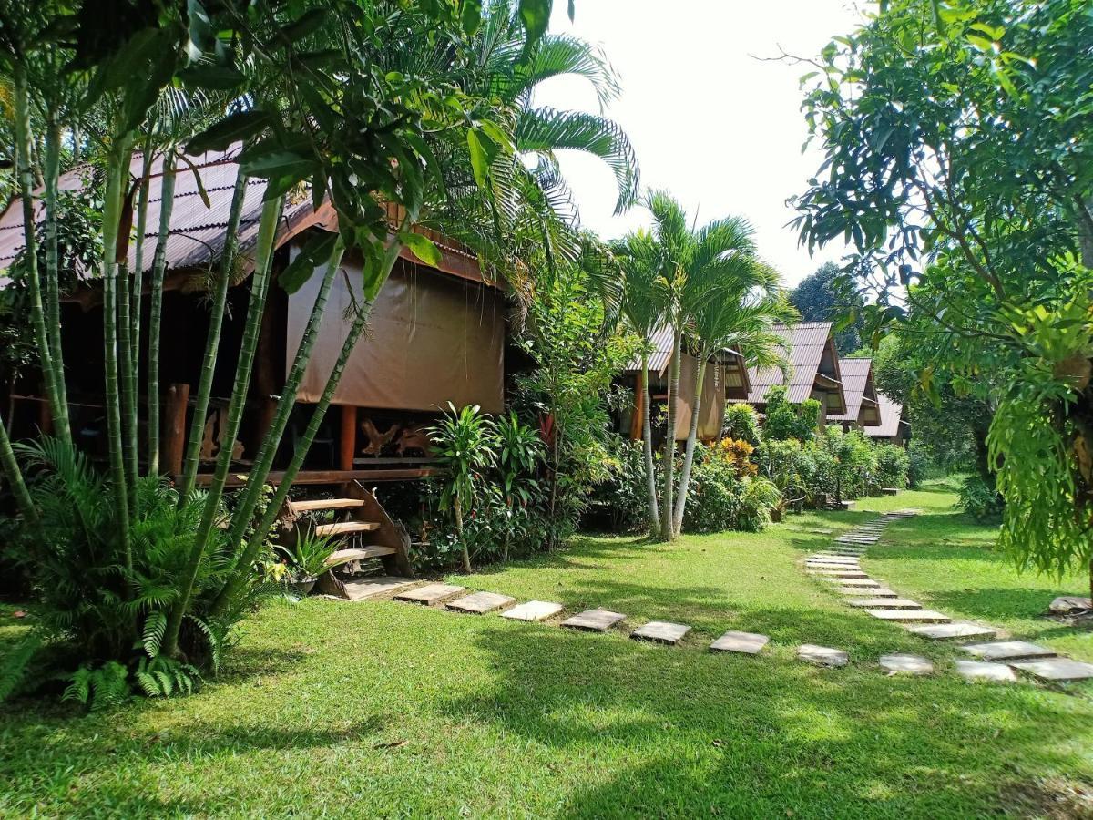 Friendly * Koh Jum