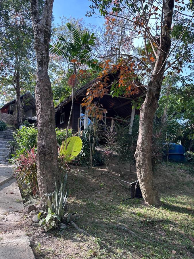 Resort Mountain View