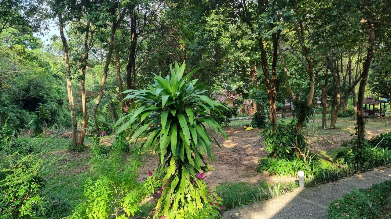 Resort Pawpaw