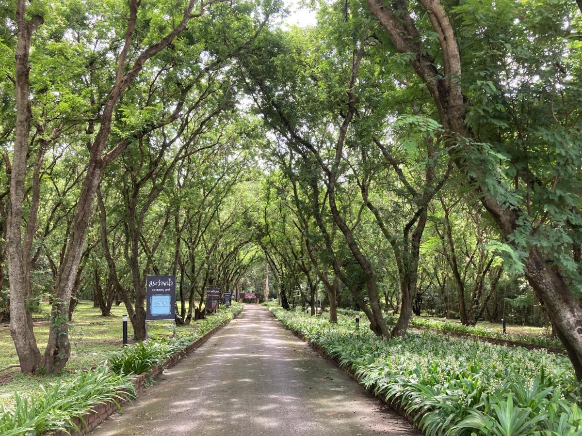 Wanathara 3* Wang Thong