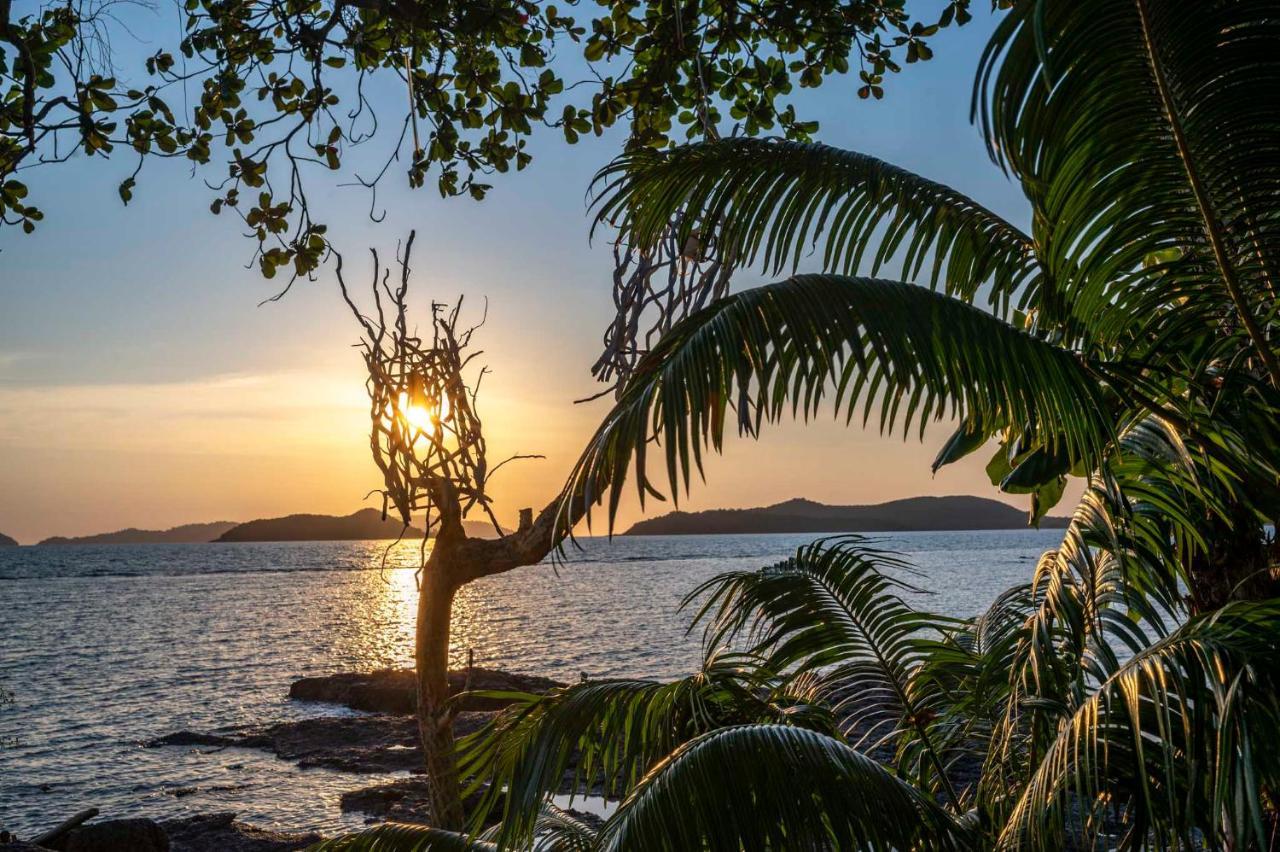 Banana Sunset - Bar &
