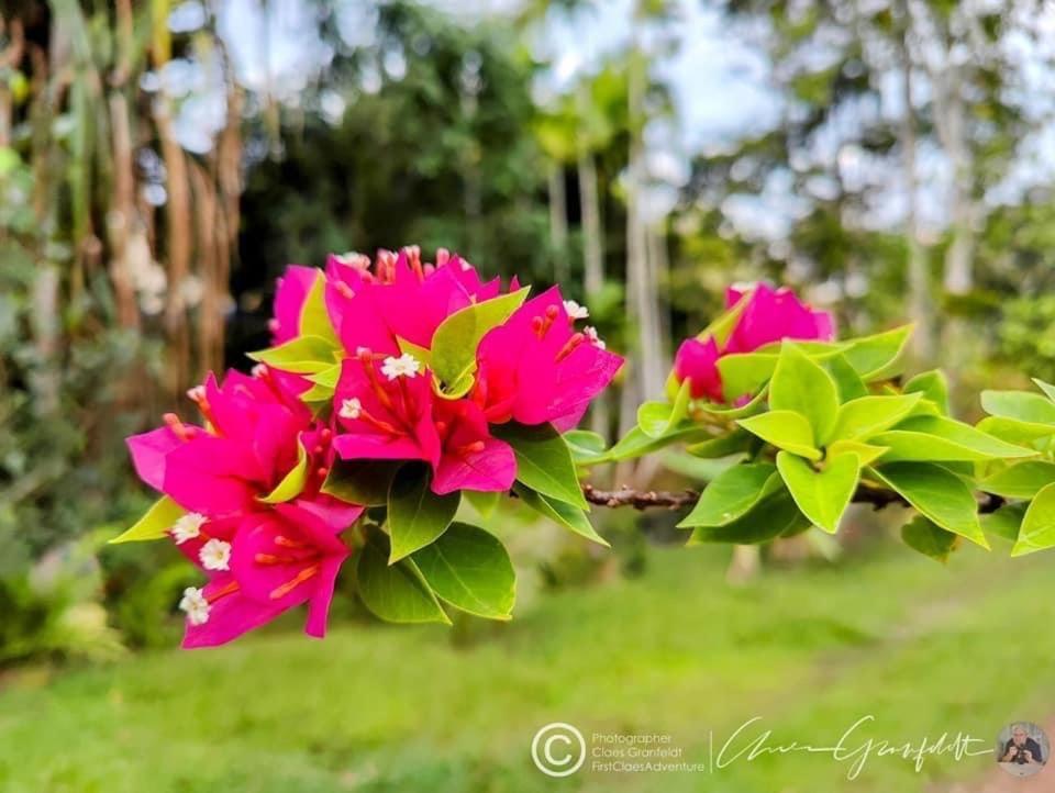 Phurin Thara Resort *