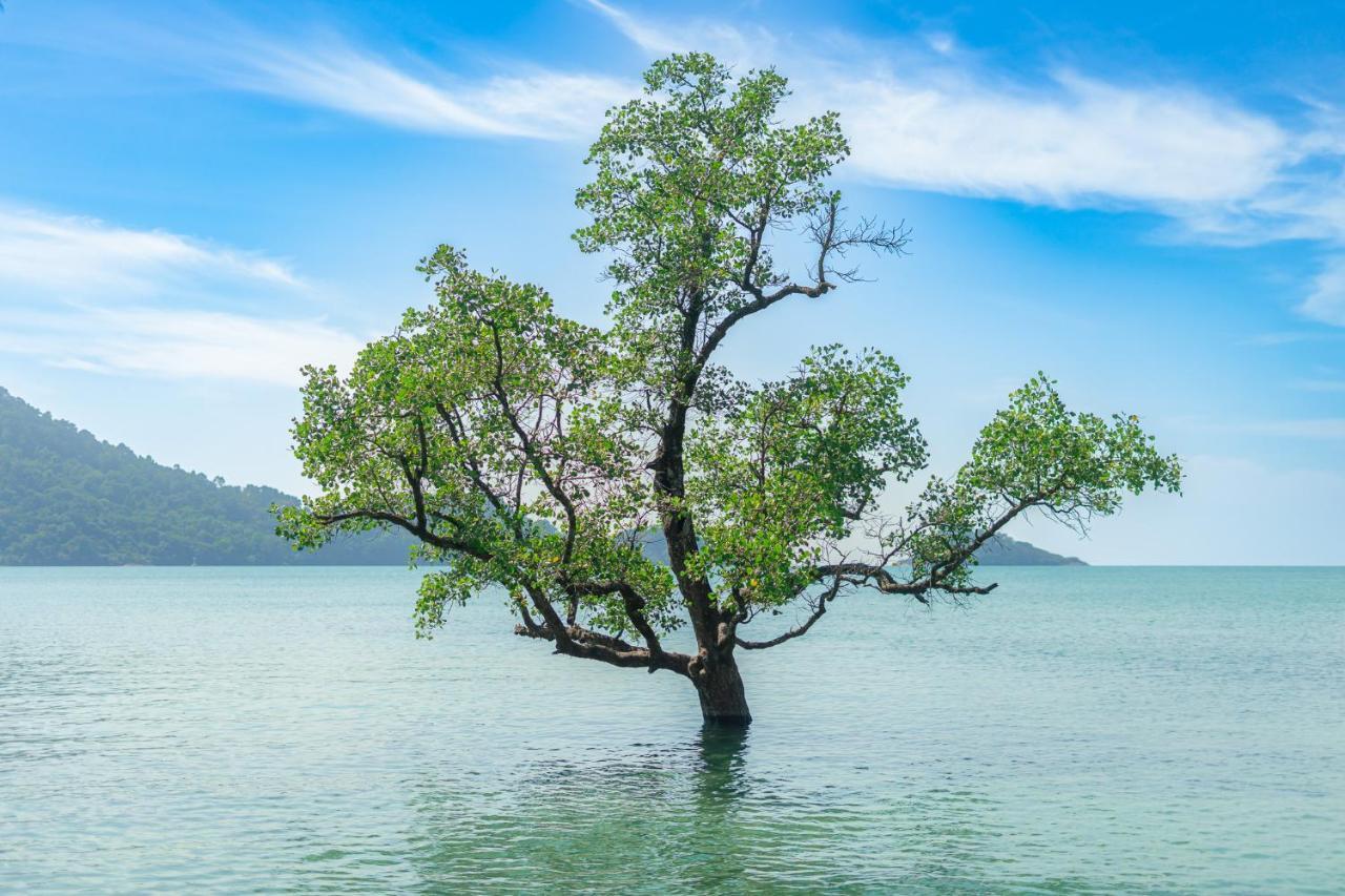 Solario Beachfront - Villa Koh Chang