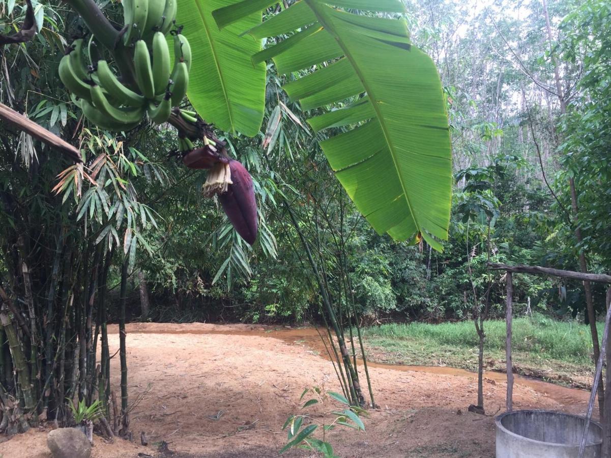 Estadia no rancho Baansuan Suksangob Farm Trang