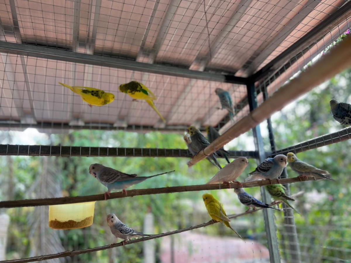 Banana Place Hotel Chumphon