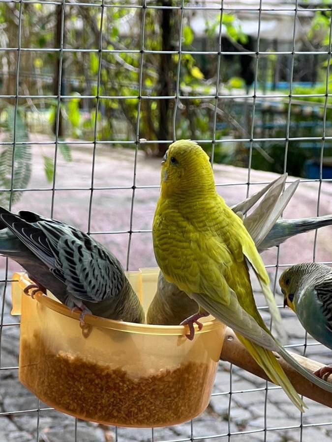 Banana Place Chumphon