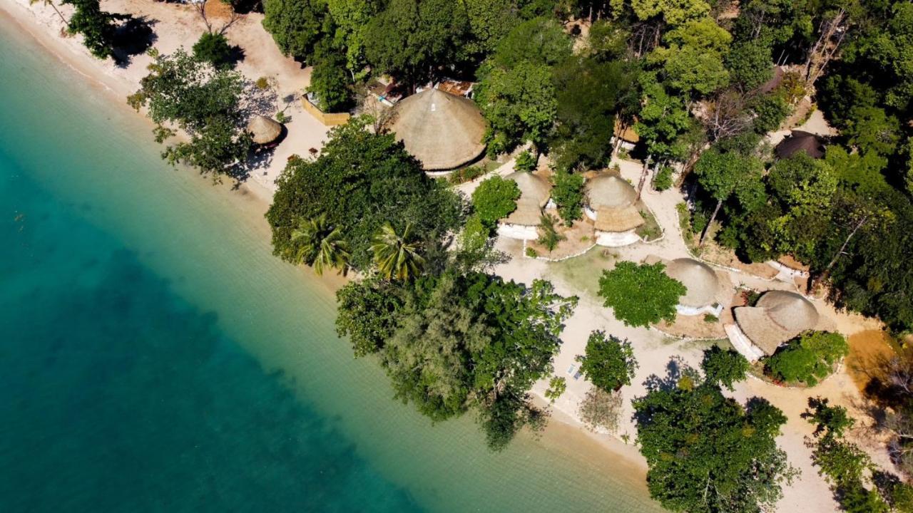 The Tropical *