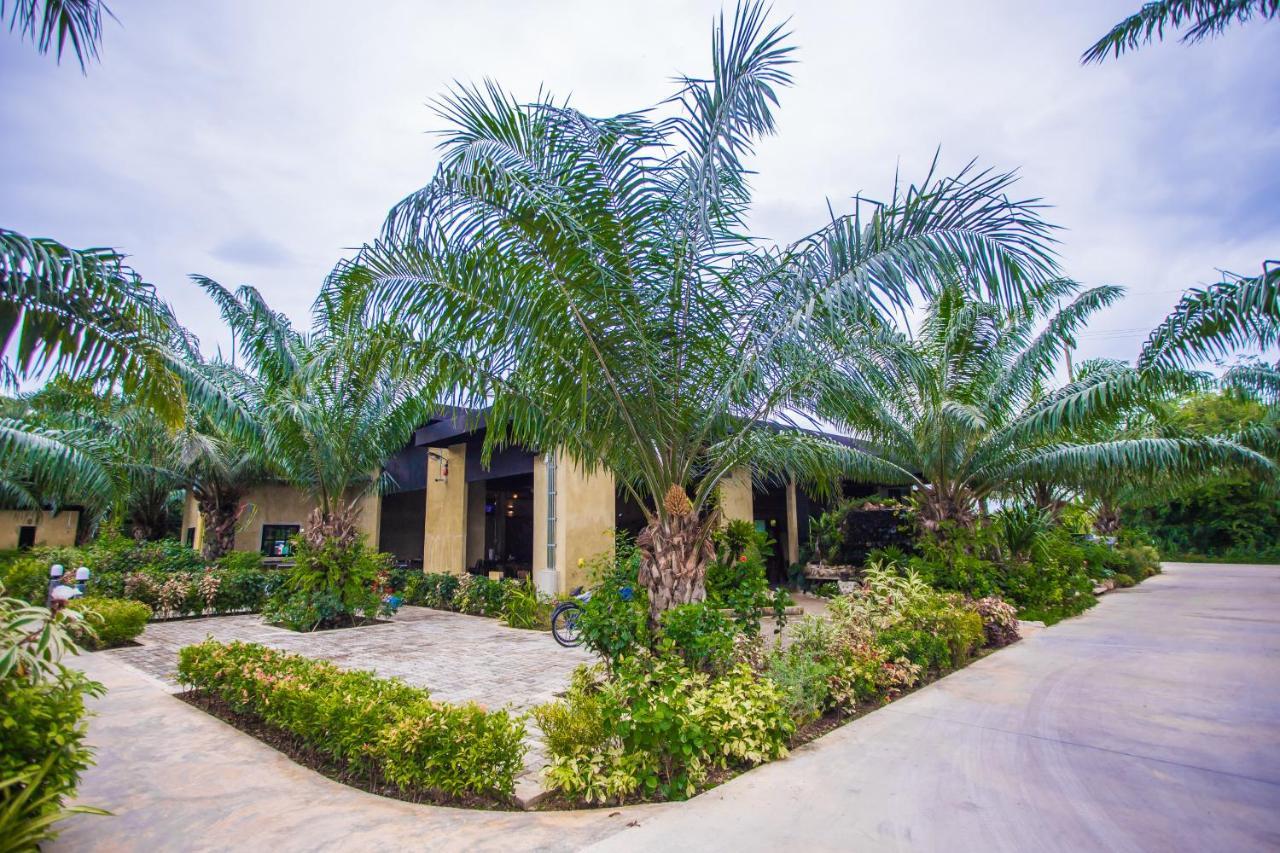 Palm Pran