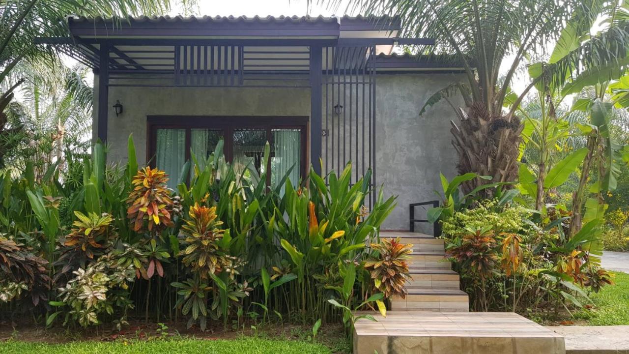Palm Pran Pran Buri