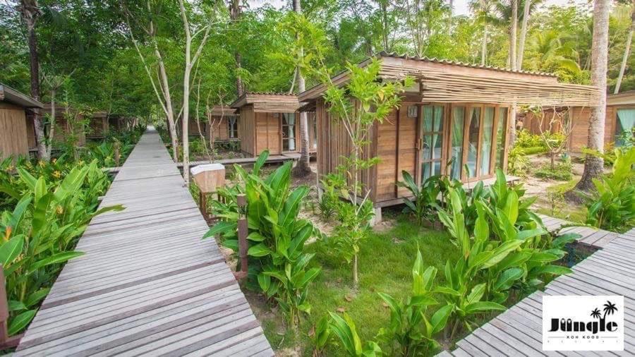 Jungle Koh Kood Ko Kut