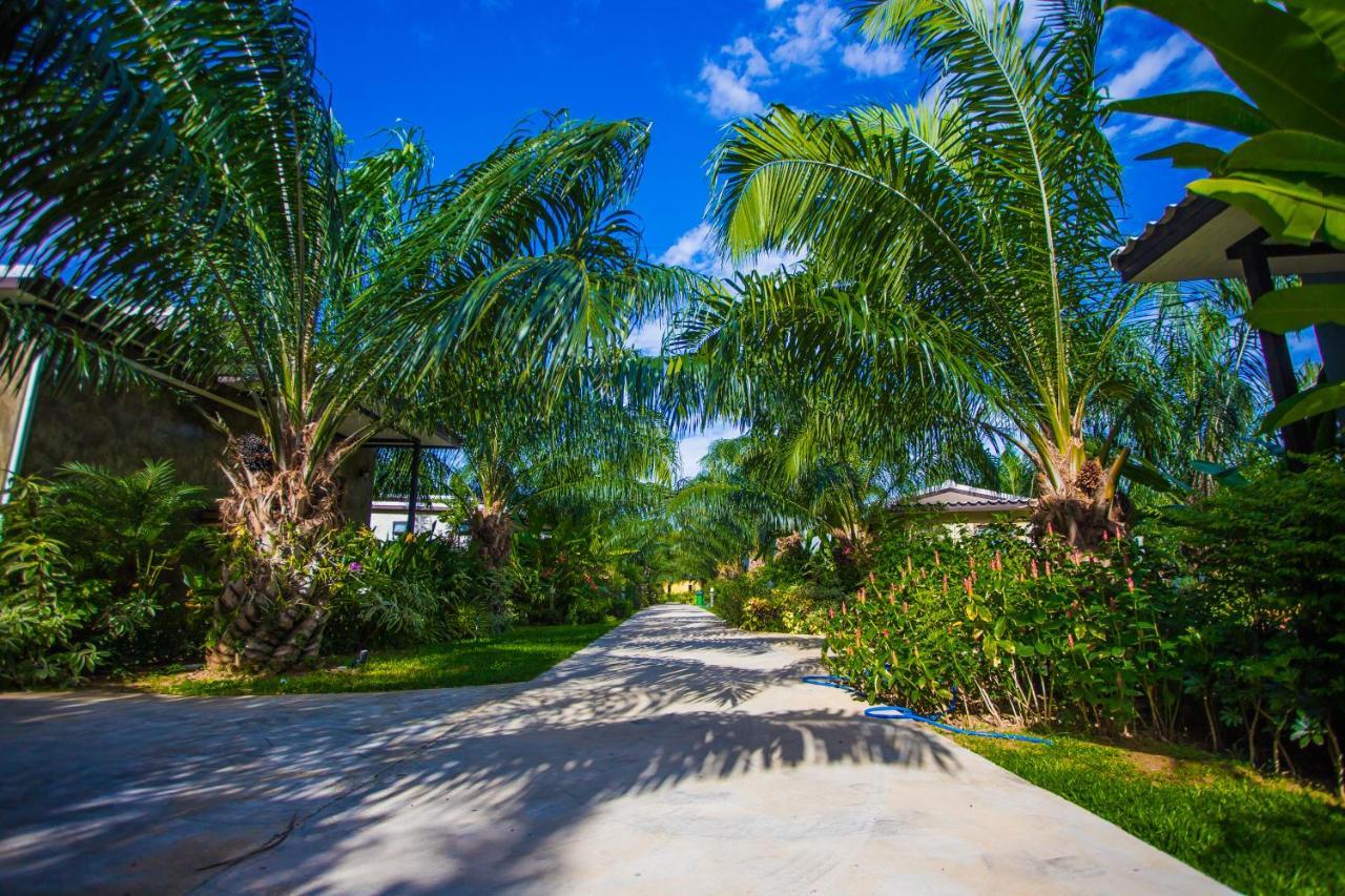 Resort Palm Pran