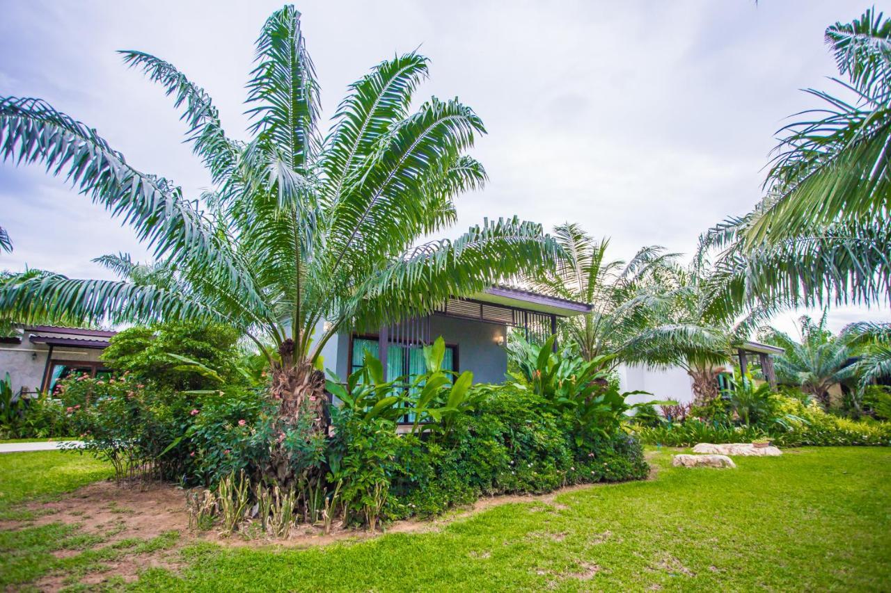 Palm Pran 3*