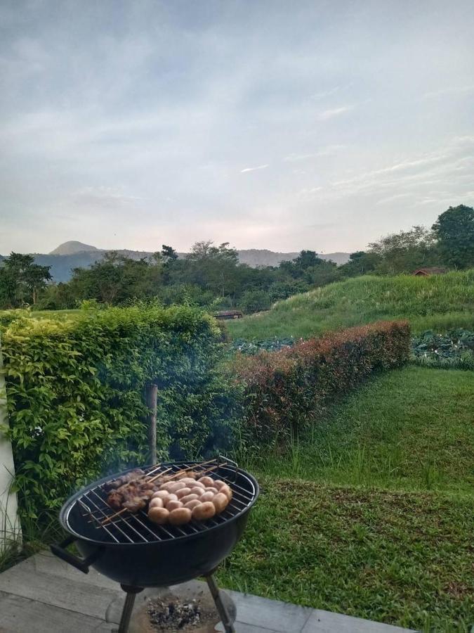 Casa de férias The Midst By The M - Tmd4 *
