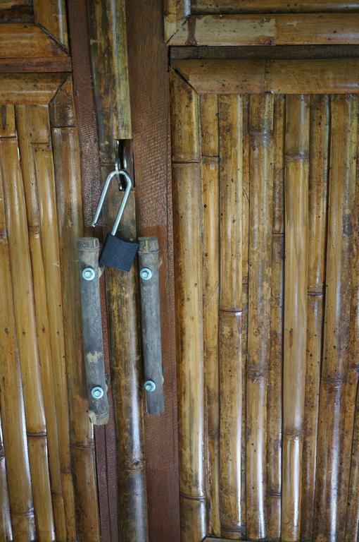 Khao Sok Jungle