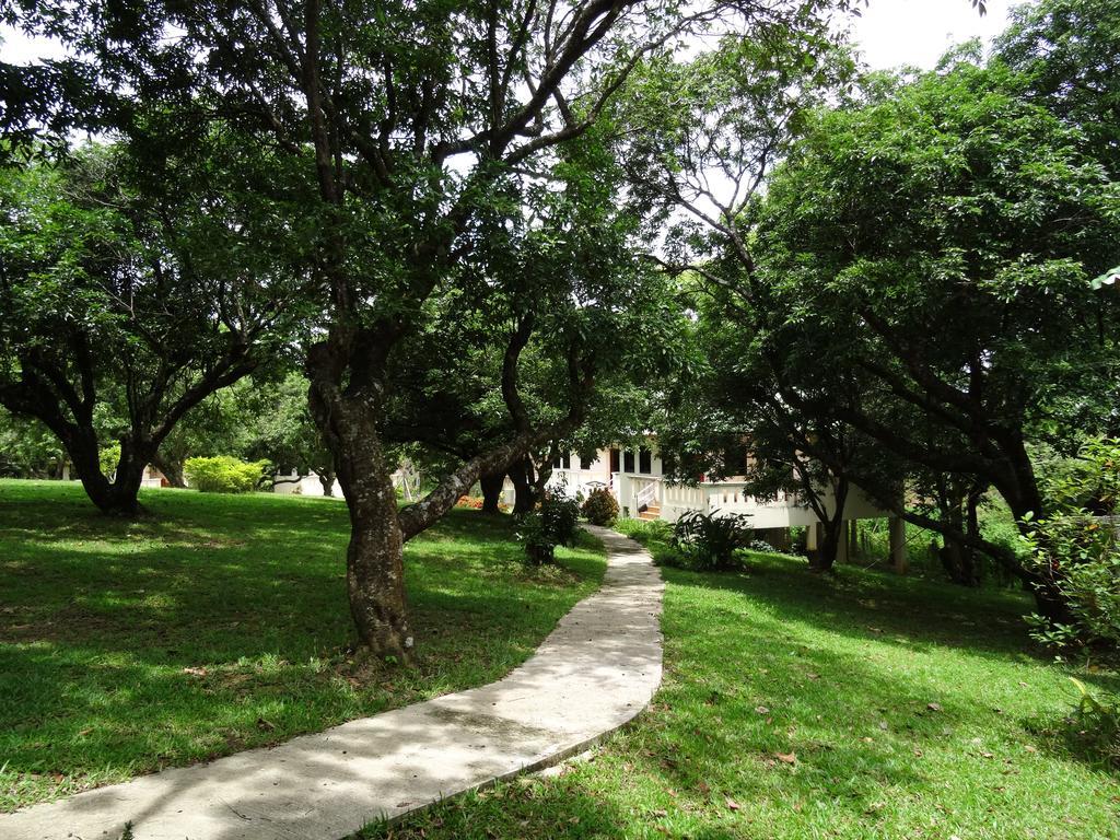 Chang Garden Mae Chan