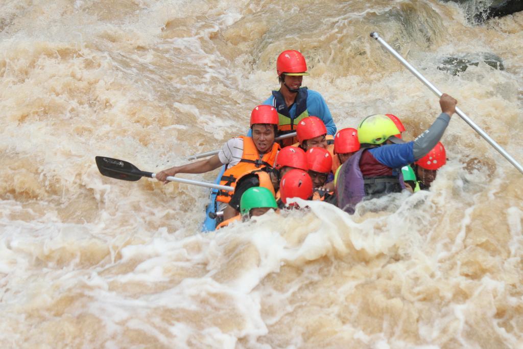 Sappraiwan Elephant & Sanctuary Resort Kaengsopha