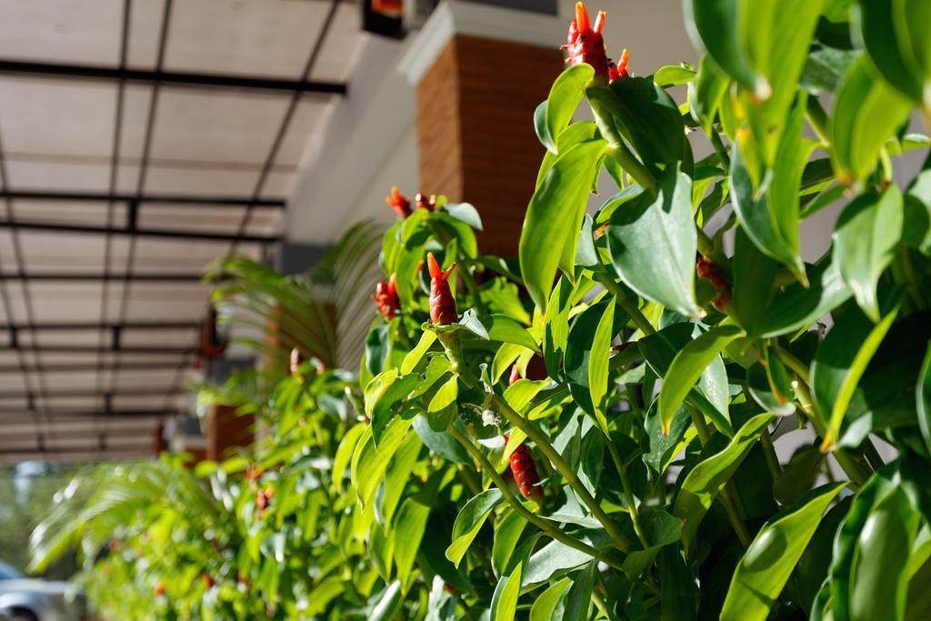 Hotel Park Warin Chamrap