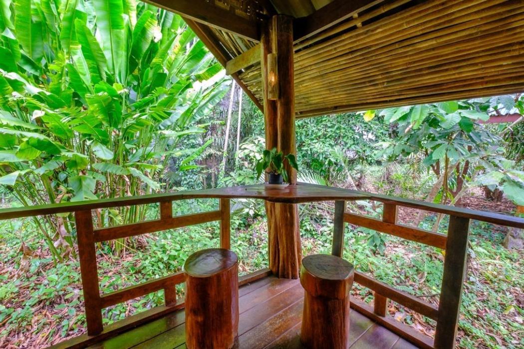Khao Sok Silver Cliff