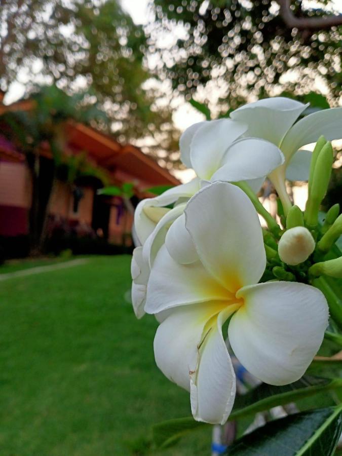 Cliff View Guest house Koh Chang