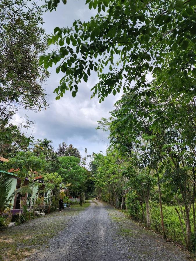 Suankafae สวนกาแฟรีสอร์ท Resort Surat Thani