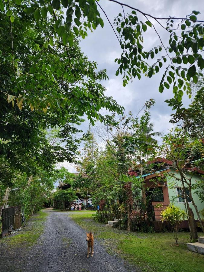 Suankafae สวนกาแฟรีสอร์ท 2* Surat Thani