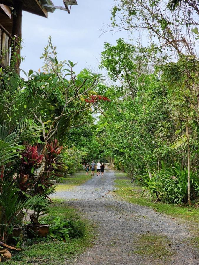 Resort Suankafae สวนกาแฟรีสอร์ท Surat Thani