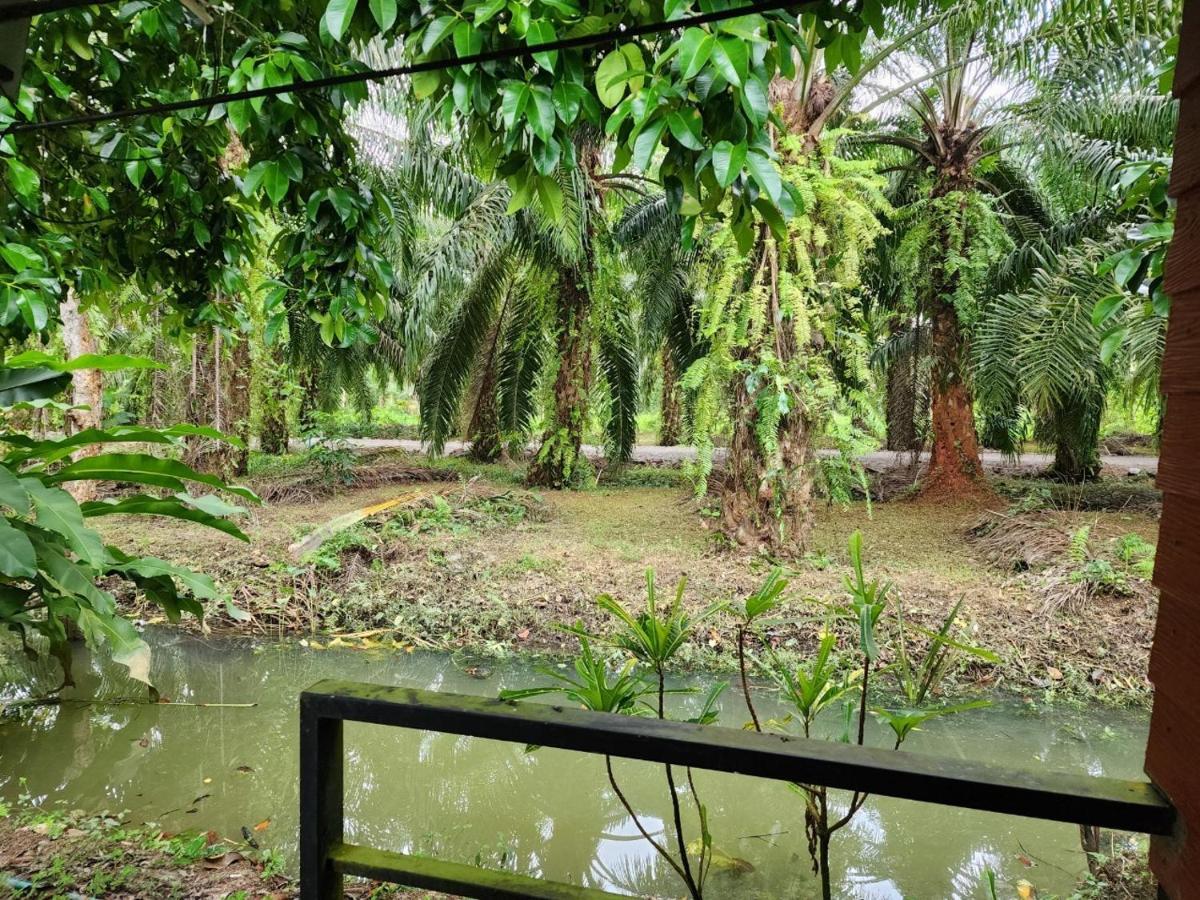 Suankafae สวนกาแฟรีสอร์ท 2* Surat Thani