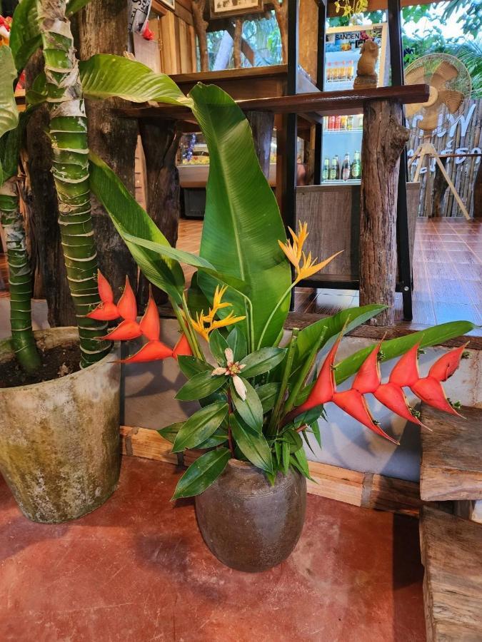 Resort Suankafae สวนกาแฟรีสอร์ท 2*