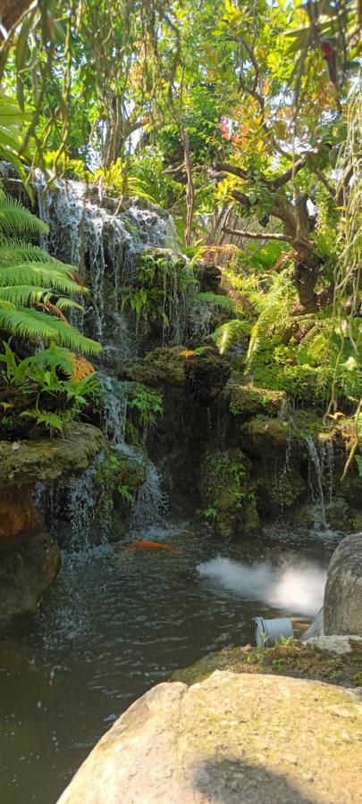 The Triple M Mountain Resort