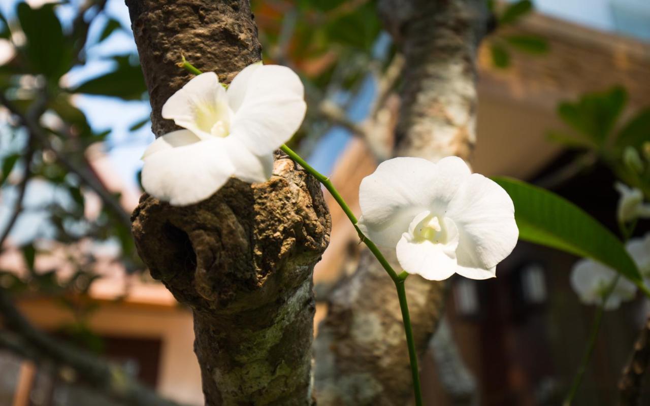 Baan Tao Talay - By Sublime Samui Villa *