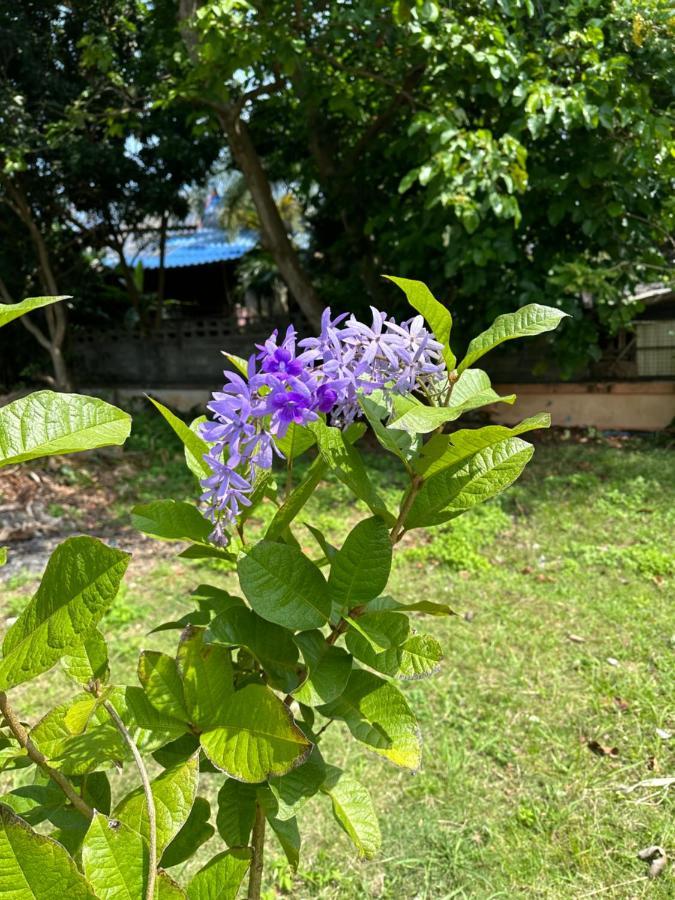 Samui Garden