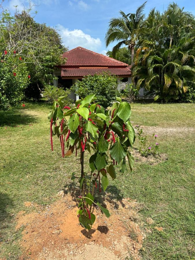 Samui Garden *