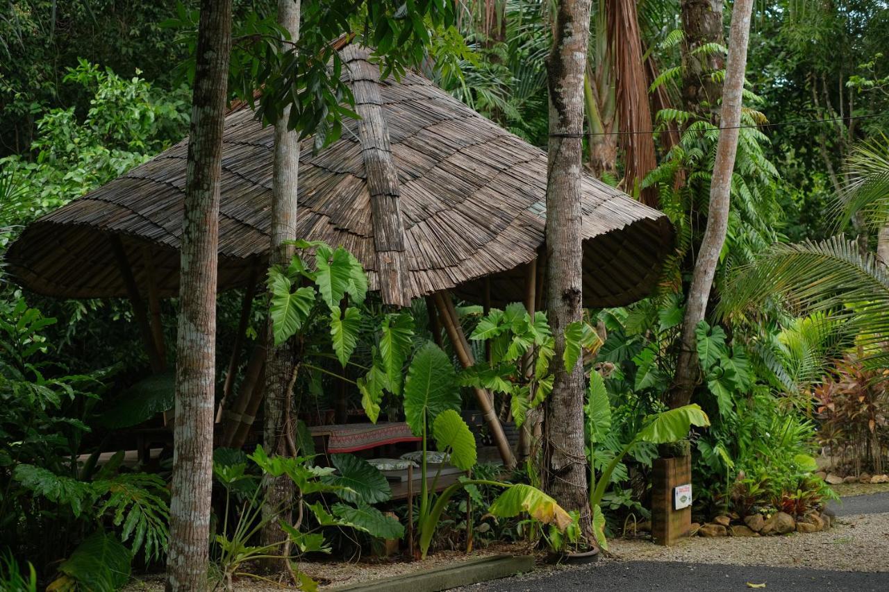 Blu Monkey Pooltara & Pet Friendly Resort