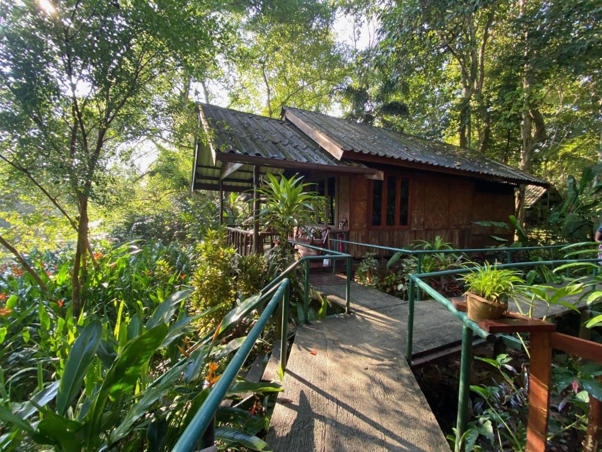 Khao Sok Riverside Khao Sok National Park
