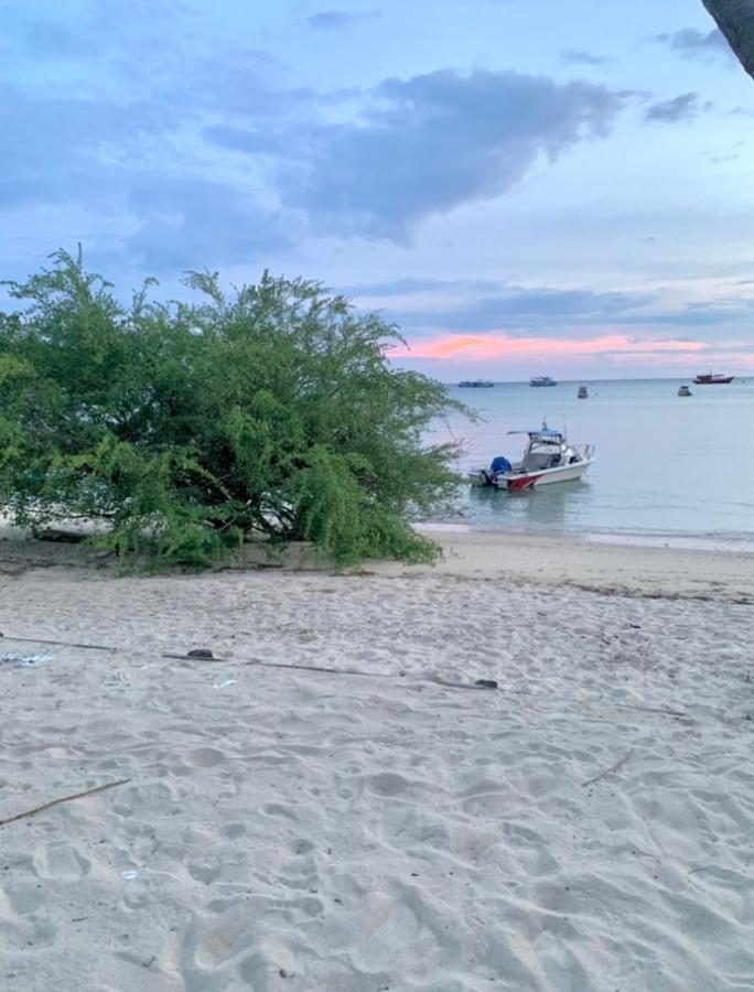 Tropicana 2* Ko Tao