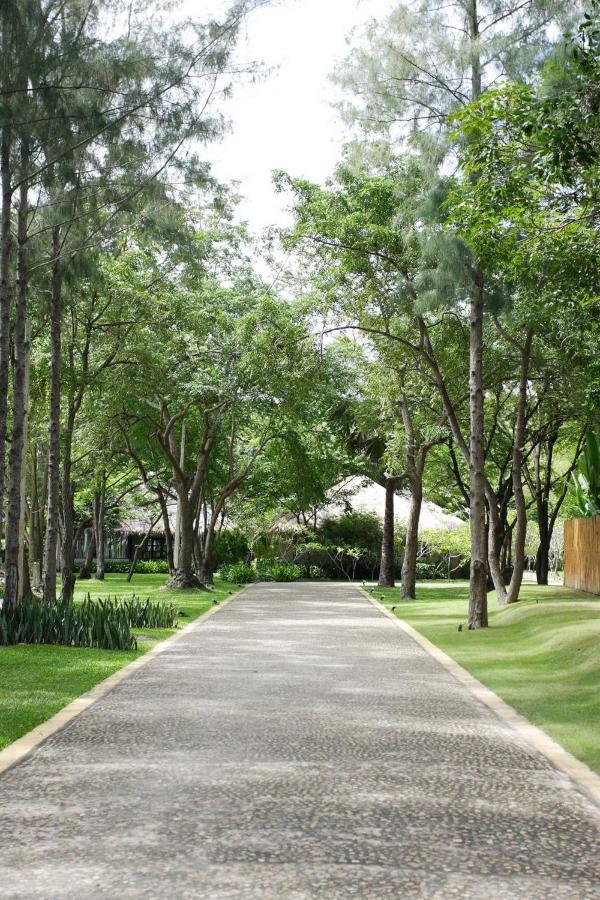 Casuarina Cha-Am