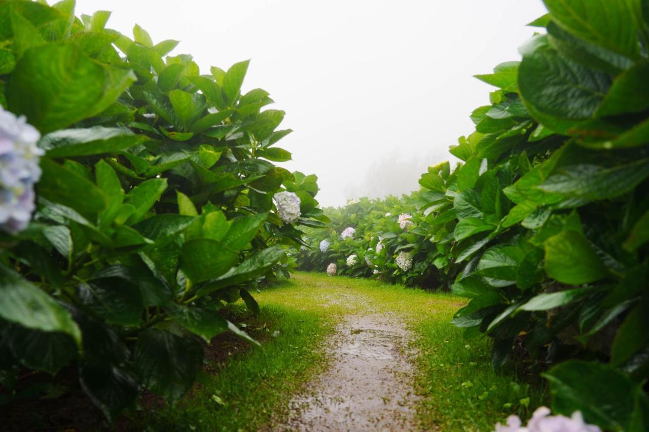 Doi Inthanon View 2*