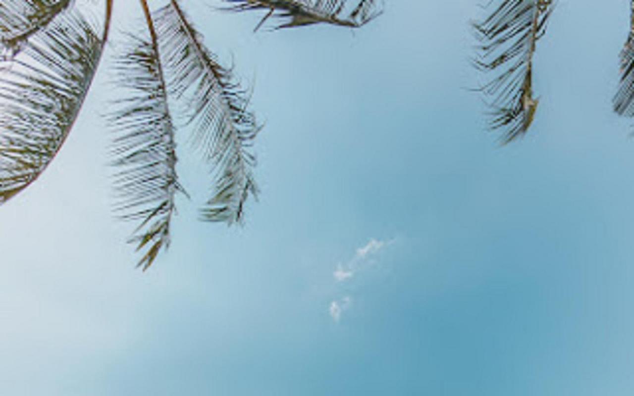 Sea Sun And - Sha Na Chom Thian