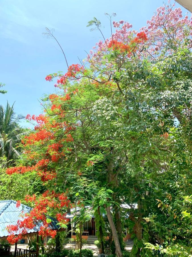 Tropicana 2* Ko Tao