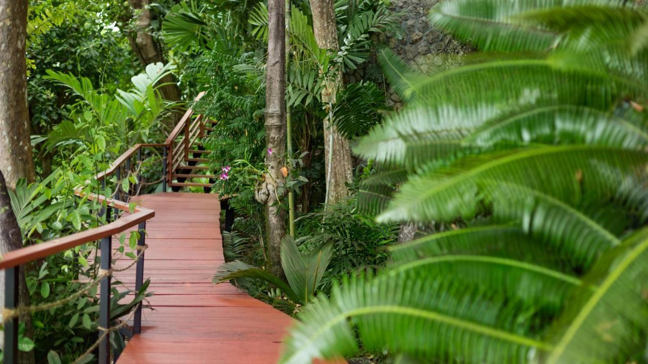 Chelay * Kamala Beach