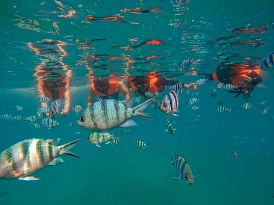 Koh Kood Resort *