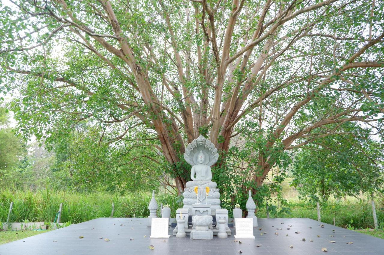 ทิพย์วาริน เขาใหญ่ Resort *
