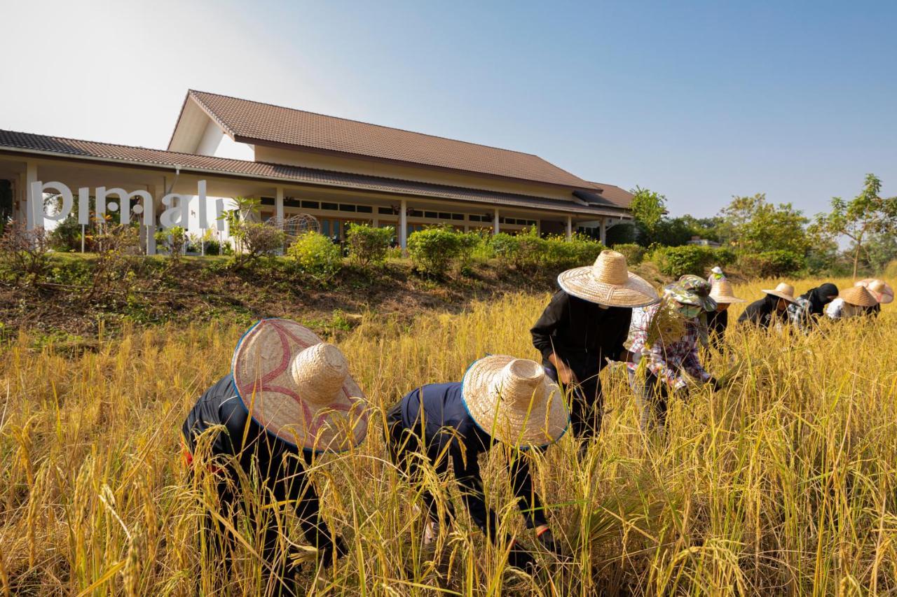 Pimali & Training Centre Nong Khai