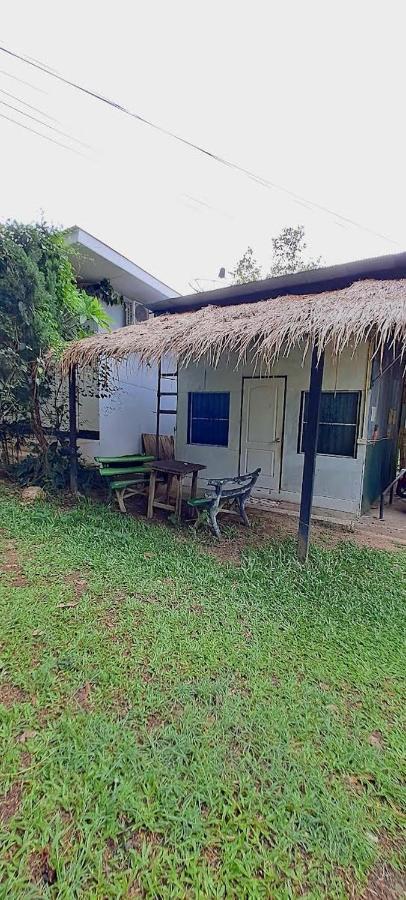 Guest house Yard