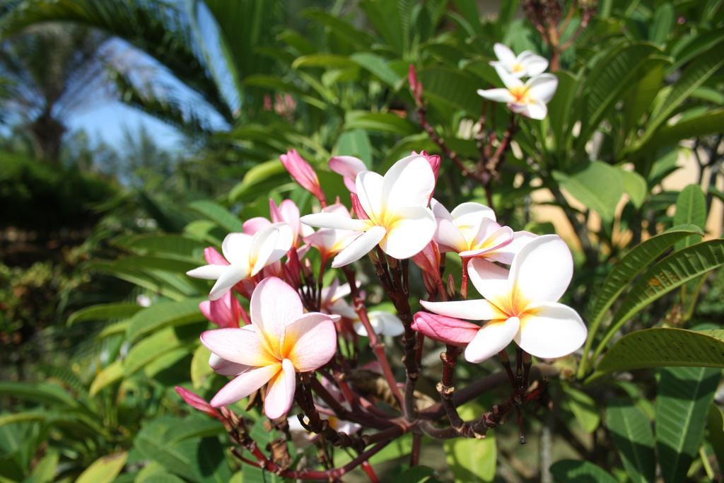 Resort Ao Thai Sathing Phra