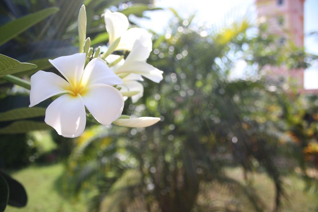 Ao Thai Resort Sathing Phra