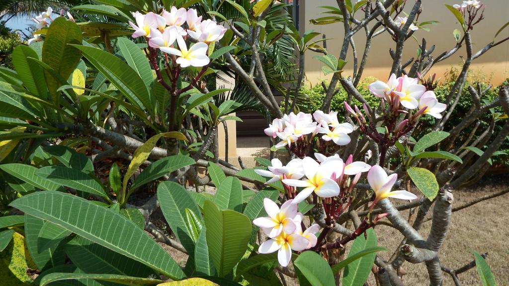 Resort Ao Thai