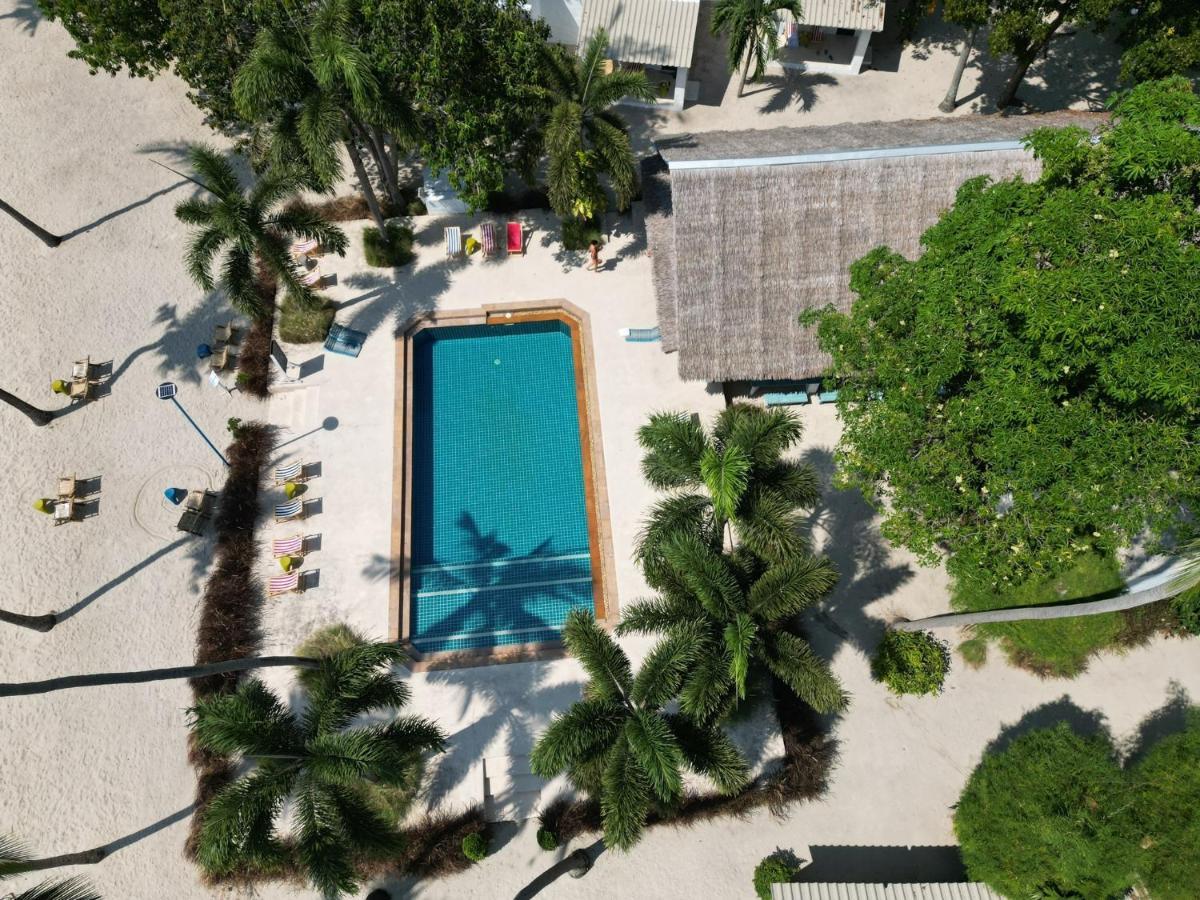 Lime N Soda Beachfront 3*