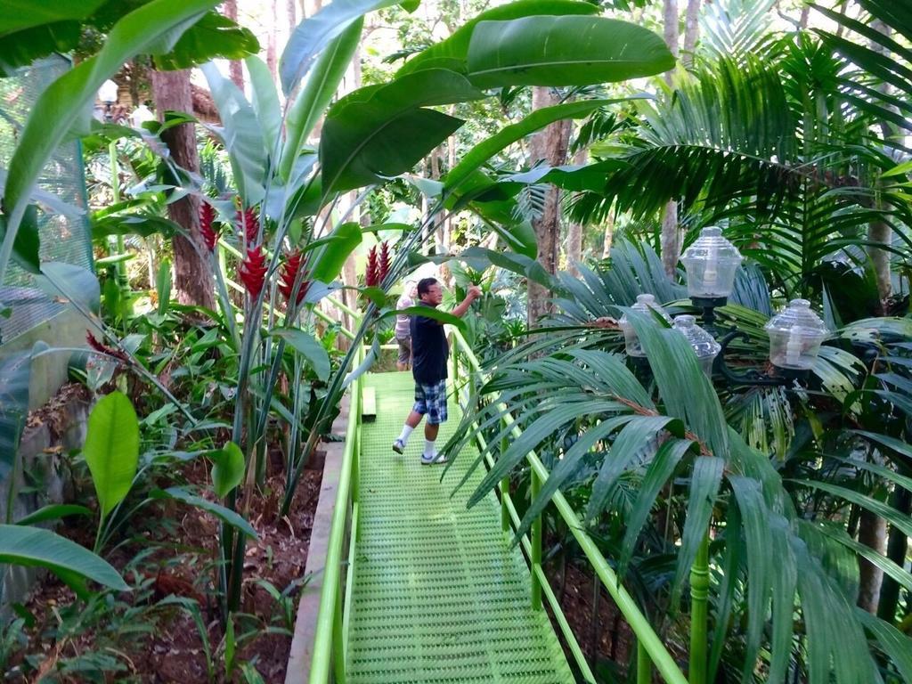 Phu Pha Nam Hotel Dan Sai