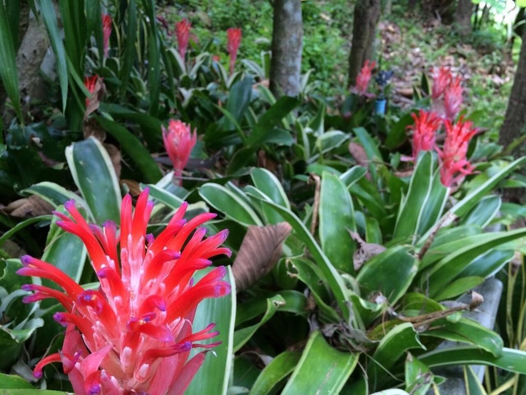 Phu Pha Nam Hotel
